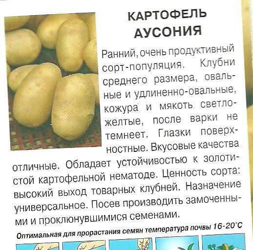 Колобок картофель характеристика отзывы. Картофель сорта Латона семенной. Сорт картошки аусония. Колобок сорт картофеля характеристика.