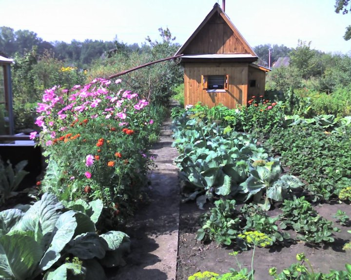Огороды в деревне у жителей фото