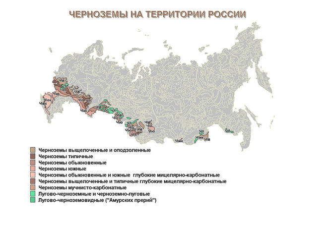 Черноземные почвы россии карта