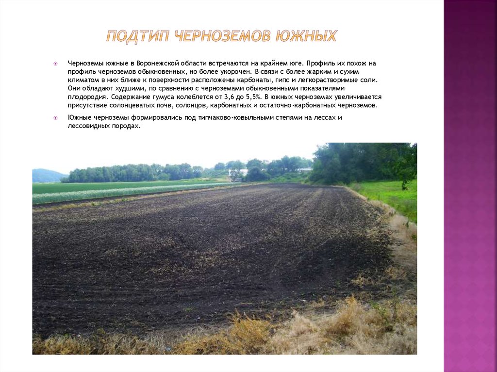 Какие области черноземные почвы россии