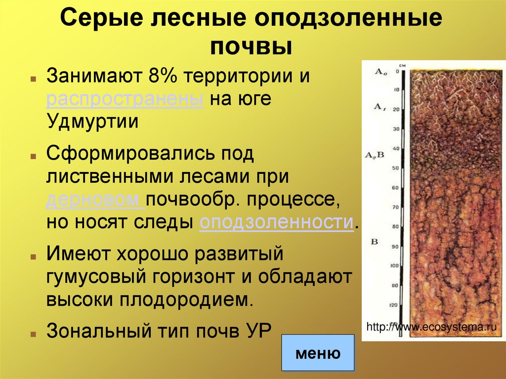 Где и когда демонстрировался образец российского чернозема