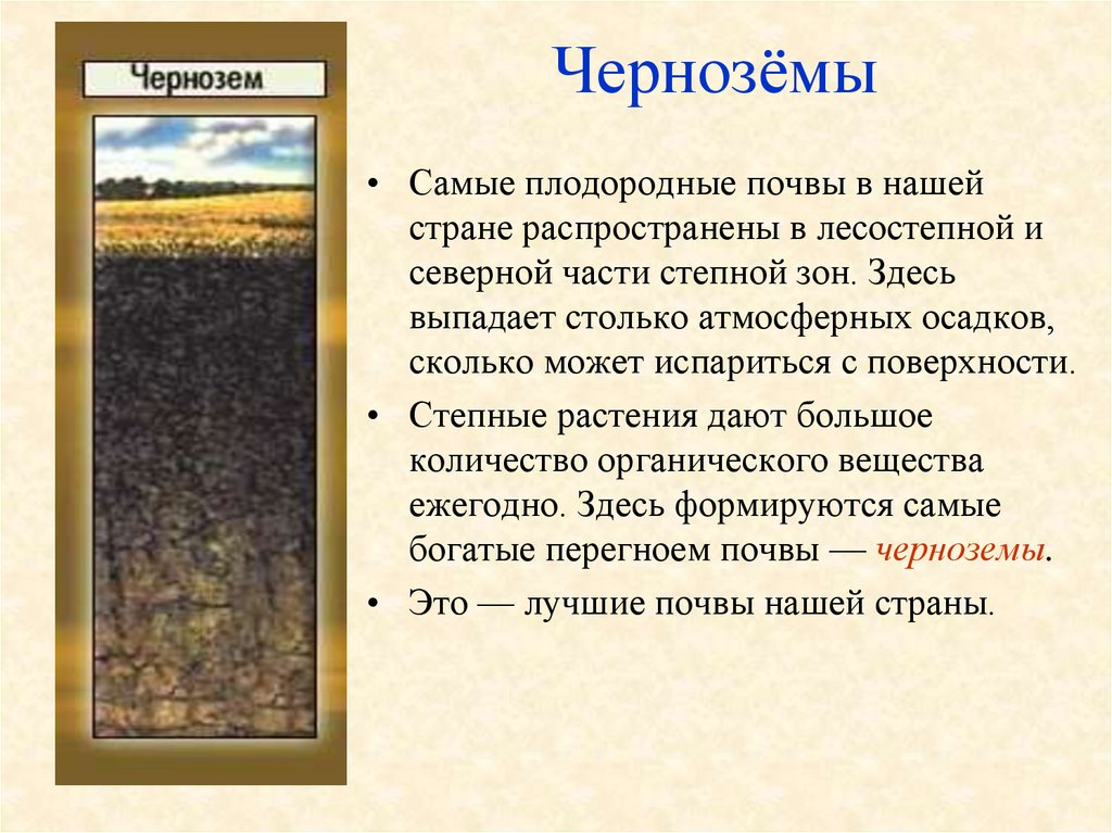 Черноземные плодородие. Сероземы самые плодородные почвы. Тип почвы чернозем. Чернозем самая плодородная почва. Типы черноземных почв.