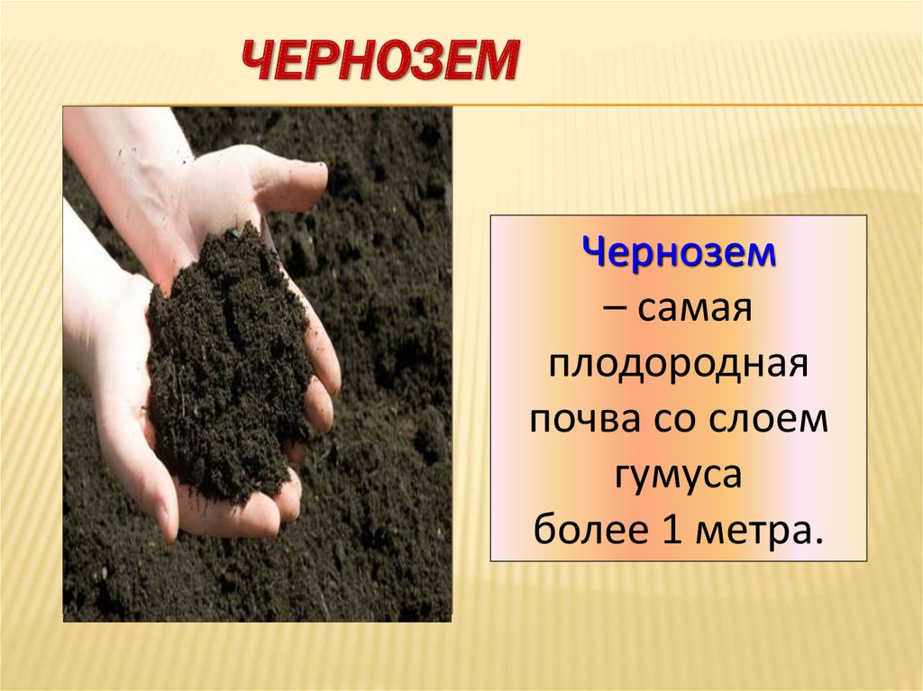 Почва это какое вещество. Плодородная почва. Самые плодородные почвы. Почва презентация. Чернозем самая плодородная почва.