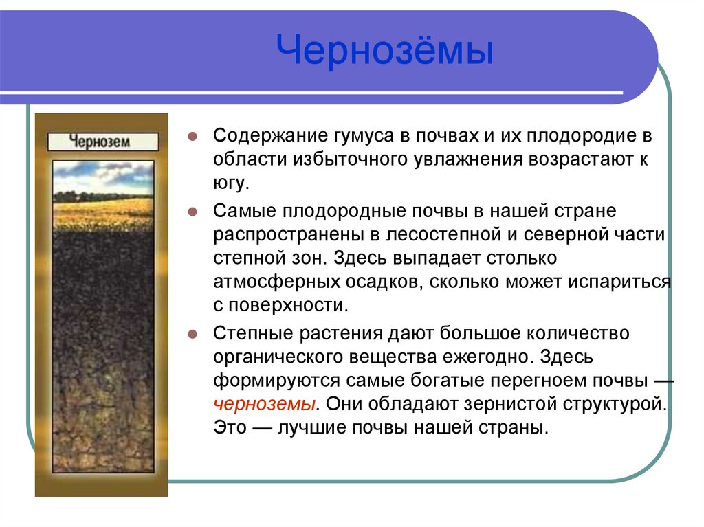 Плодородие зависит от содержания. Черноземы почвы России таблица. Чернозем описание почвы 4. Чернозёмные почвы характеристика. Характеристики почв чернозем почва.