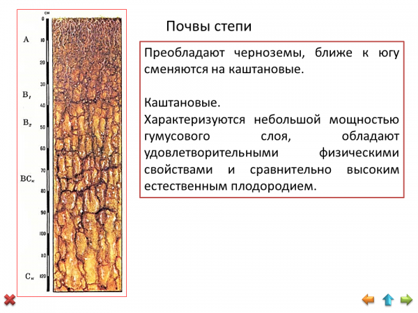 Черноземные почвы схема