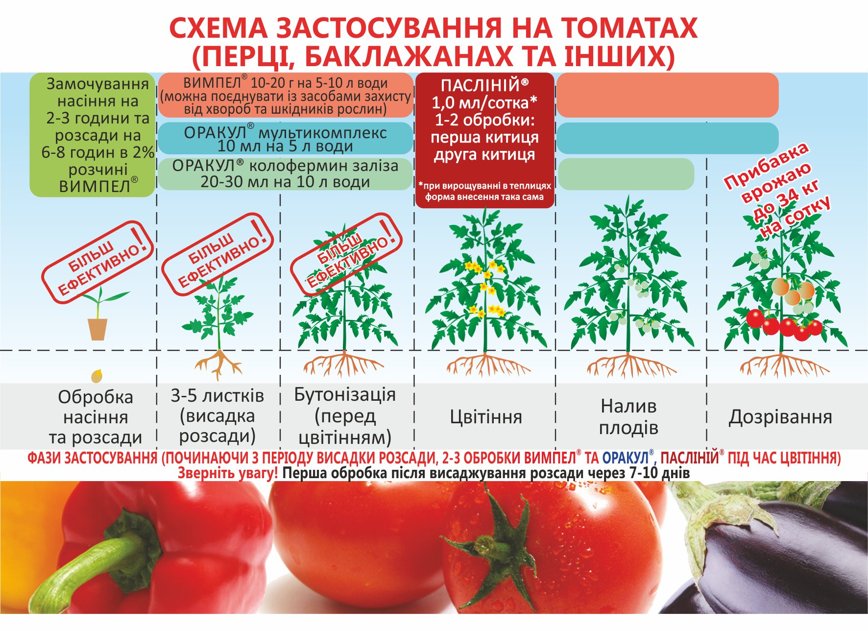 Какие условия нужны перцам. Схема питания томатов по фазам развития. Таблица удобрения томатов. Название подкормки для помидор. Схема подкормки томатов в парнике.