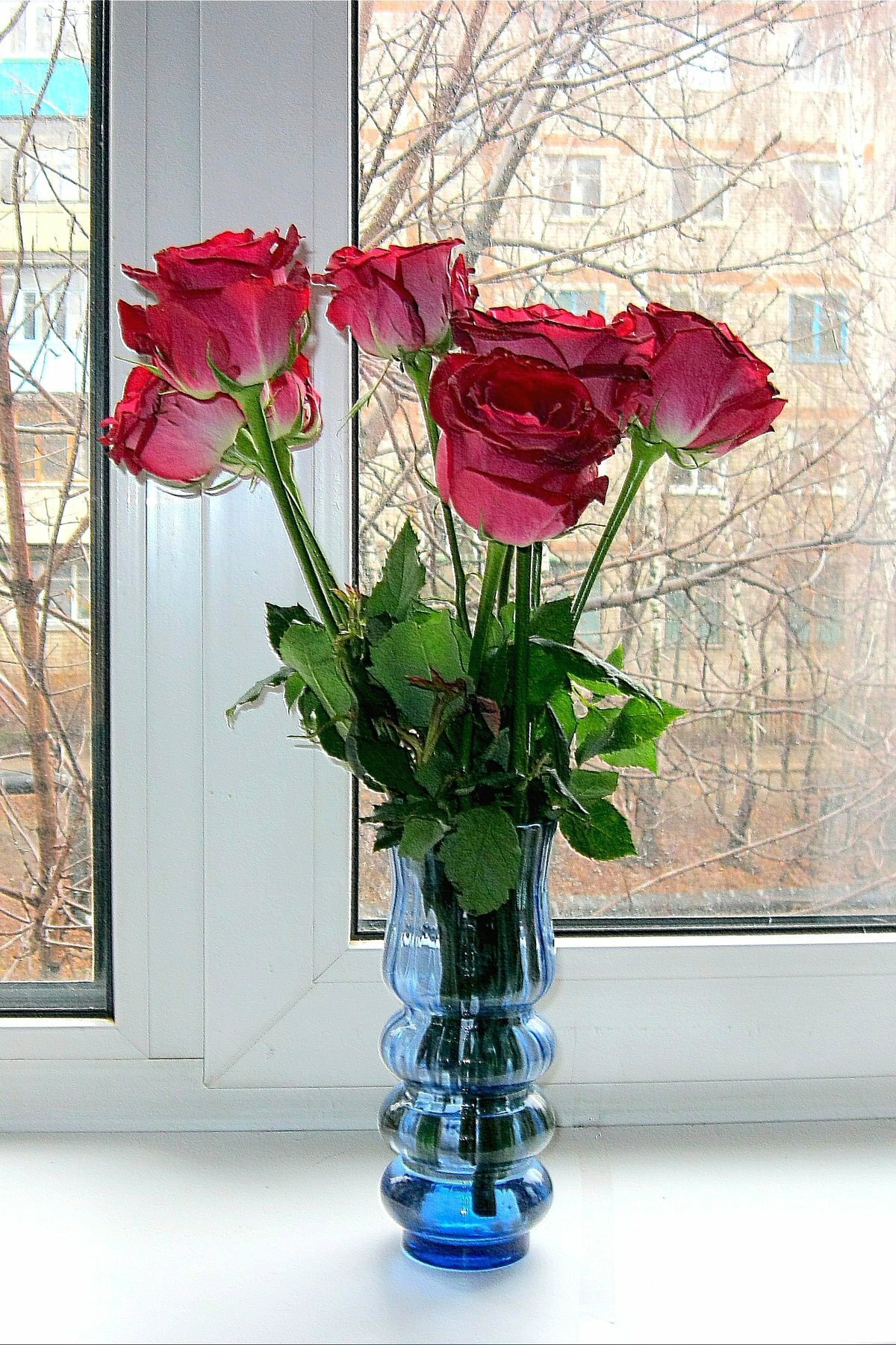 Условия для роз в вазе. Цветы на окне. Цветы в вазе. Цветц в впзн. Цветы в вазе на окне.