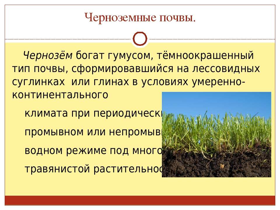 Где и когда демонстрировался образец российского чернозема