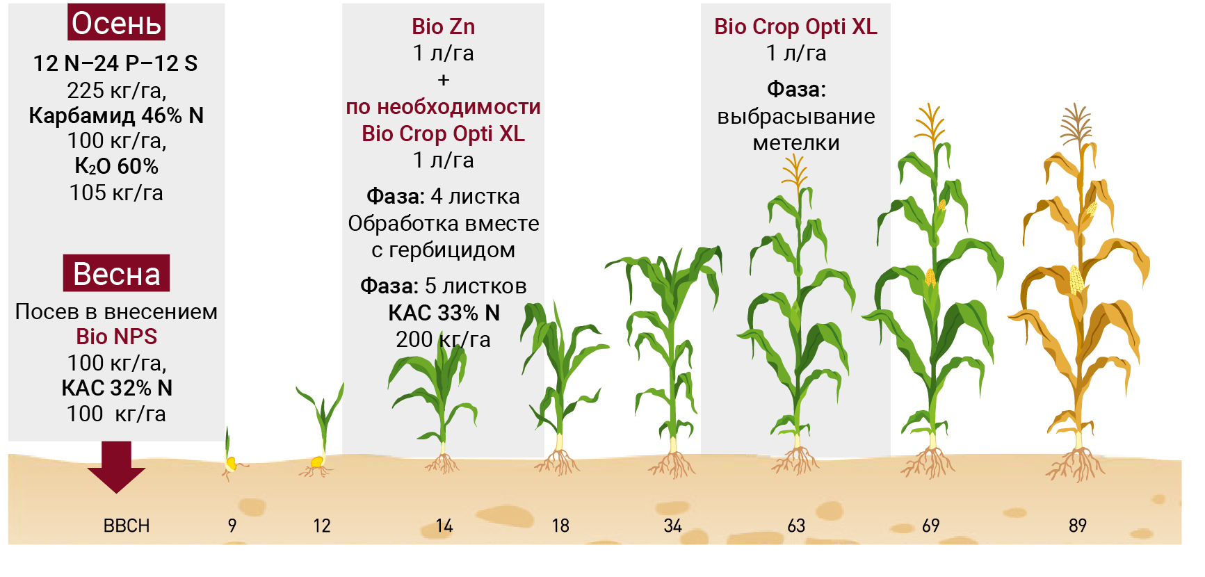 Схема посадки кукурузы