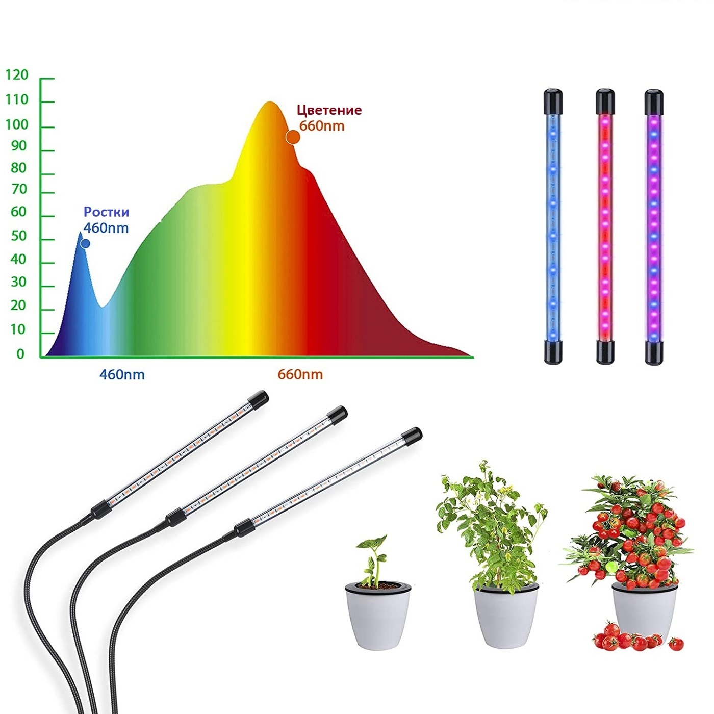 Какой спектр для рассады. Фитолампа полный спектр для растений. Светодиодная фитолампа на прищепке 3х10 Вт, полный спектр. Фитосветильник полного спектра для рассады растений. Светодиодная фитолампа на прищепке 4х10 Вт полный спектр.