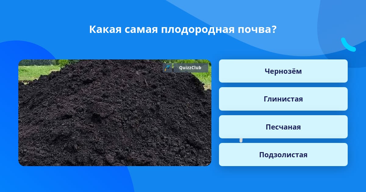 Как определить плодородие почвы география огэ. Неплодородная почва.