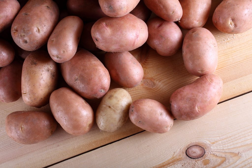 Урожайные сорта картофеля для средней. Сорт картофеля Лорх. Картофель сорт Нандина. Сорт картофеля Кармен.