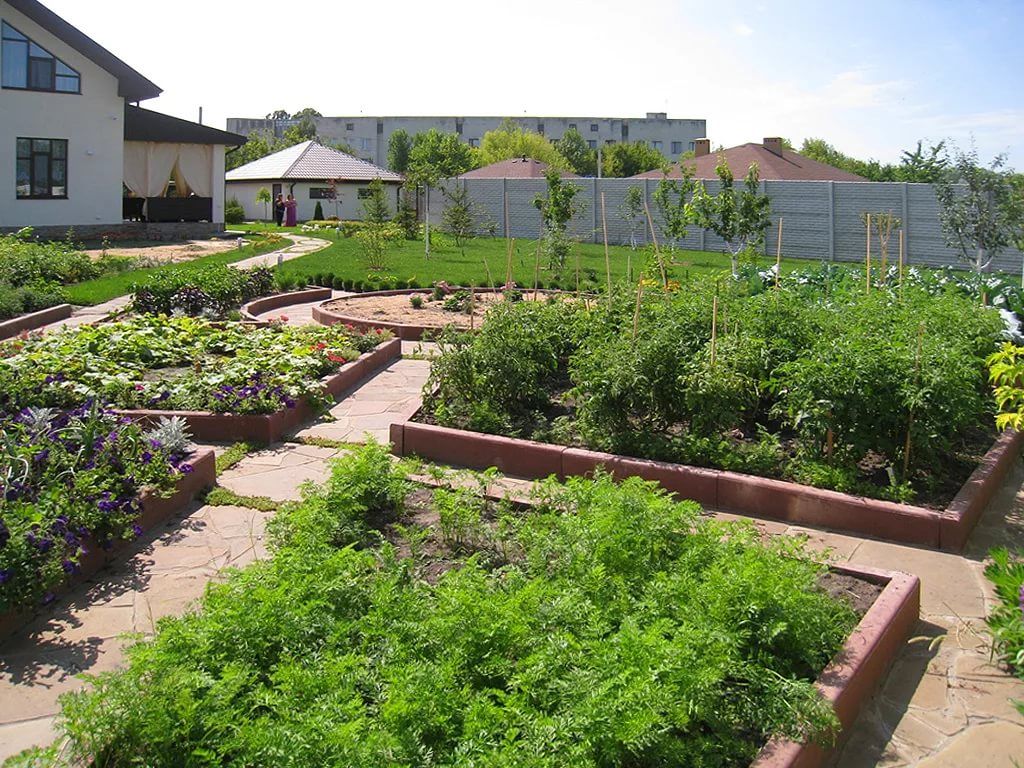 Участок выход. Планировка фруктового сада на 10 сотках. Планировка участка с огородом. Планировка огорода на 6 сотках. Огород на участке 6 соток.