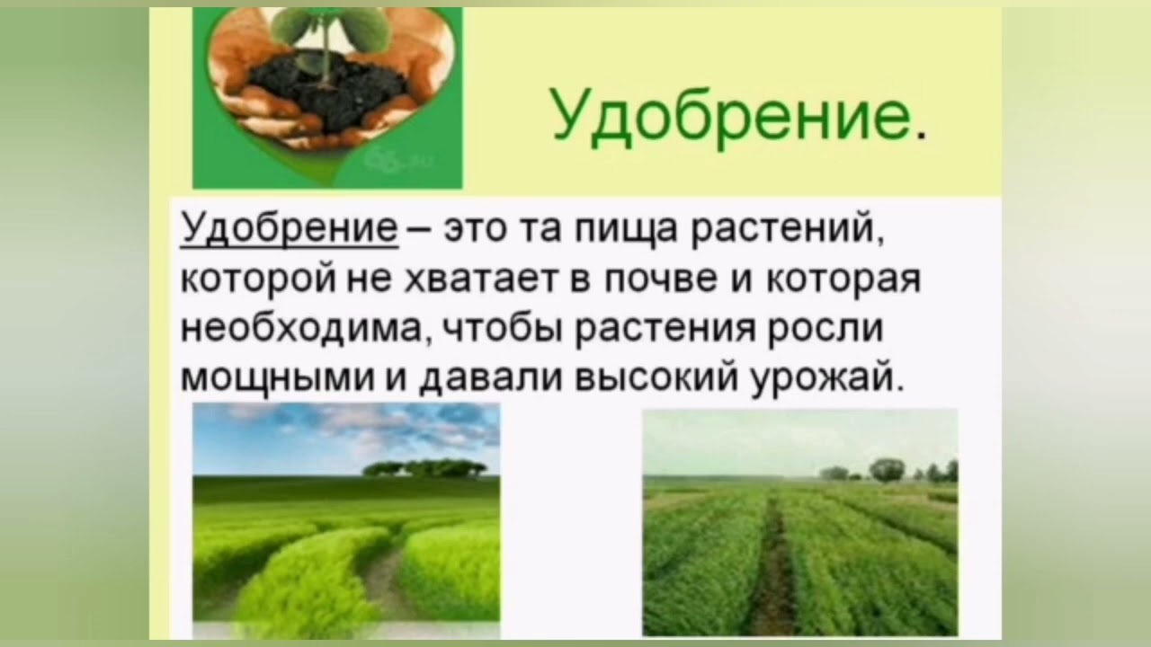 Доклад на тему удобрения. Удобрения для растений. Презентация на тему удобрения. Что такое органические и Минеральные удобрения. Удобрение почвы.