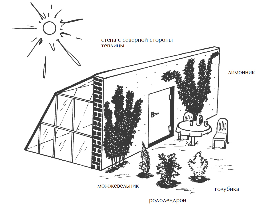 Теплица из поликарбоната по сторонам света. Расположение теплицы относительно сторон света. Схема расположения теплицы на участке. Место для теплицы на участке как правильно выбрать. Как правильно установить теплицу по сторонам света схема.