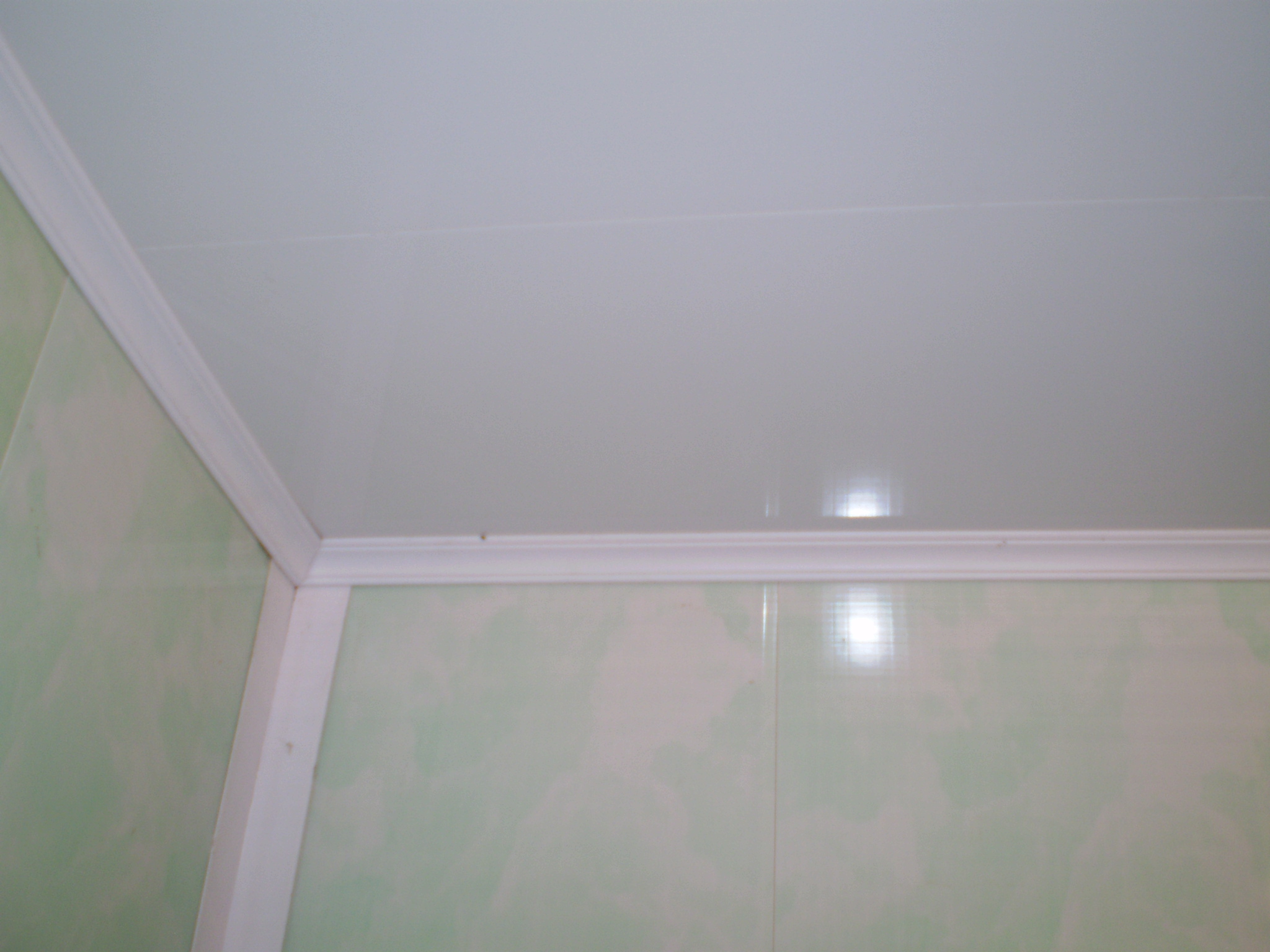Потолок пвх в комнате. Потолок из пластиковых панелей. Пластиковые потолки из ПВХ панелей. Потолок из ПВХ панелей в ванной. Потолок в ванной из пластиковых панелей.