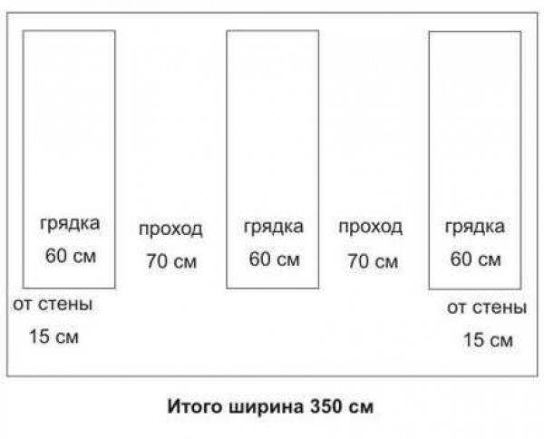 Размер грядок на огороде схема