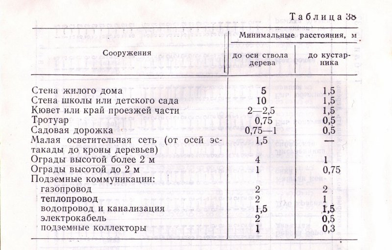 Расстояние от деревьев. СНИП посадка деревьев и кустарников. СНИП посадка деревьев и кустарников нормы. Нормативы по посадке деревьев около многоквартирного дома. На каком расстоянии сажать деревья от многоэтажного дома.