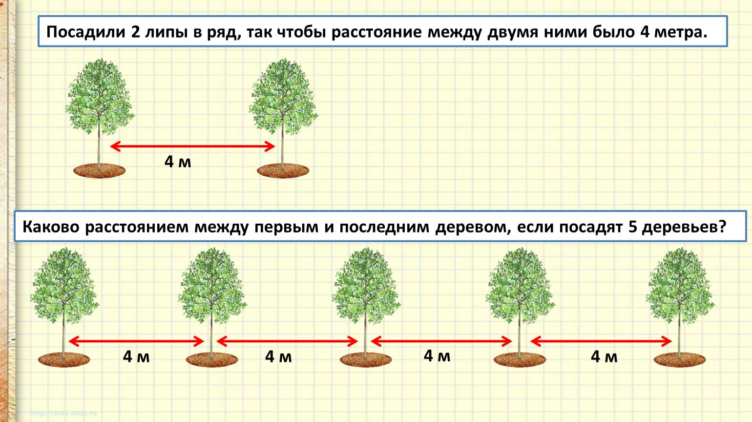 Через сколько вырастает дерево. Расстояние посадки деревьев. Схема посадки деревьев. Расстояние между деревьями. Расстояние между деревом и кустарником.