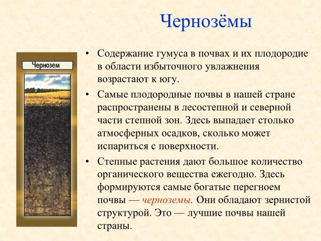 Самые плодородные почвы. Гумус черноземных почв. Содержание гумуса в черноземах. Состав чернозема почвы. Тип гумуса черноземов.