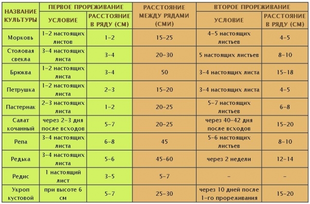 Схема посадки кукурузы в открытом грунте