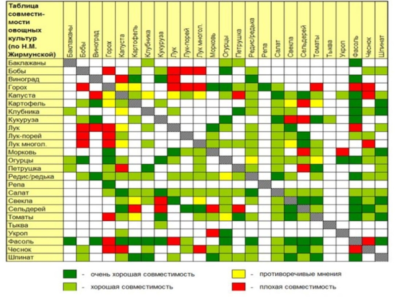 Схема посадки овощей на огороде совместимость и севооборот