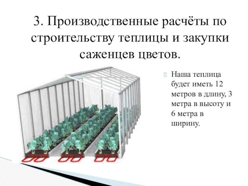 Тепличный бизнес план. Теплица бизнес план. Загадка про теплицу. Теплица 3 метра длина. Загадка про теплицу для детей.