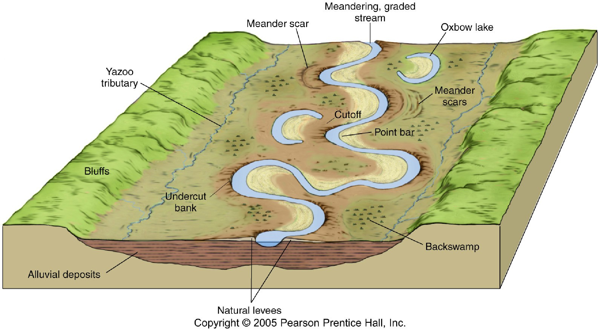 Ширина русла рек. Строение русла реки. Части реки в разрезе. Русло реки в разрезе. Геология реки.
